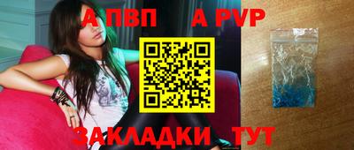стаф Донской