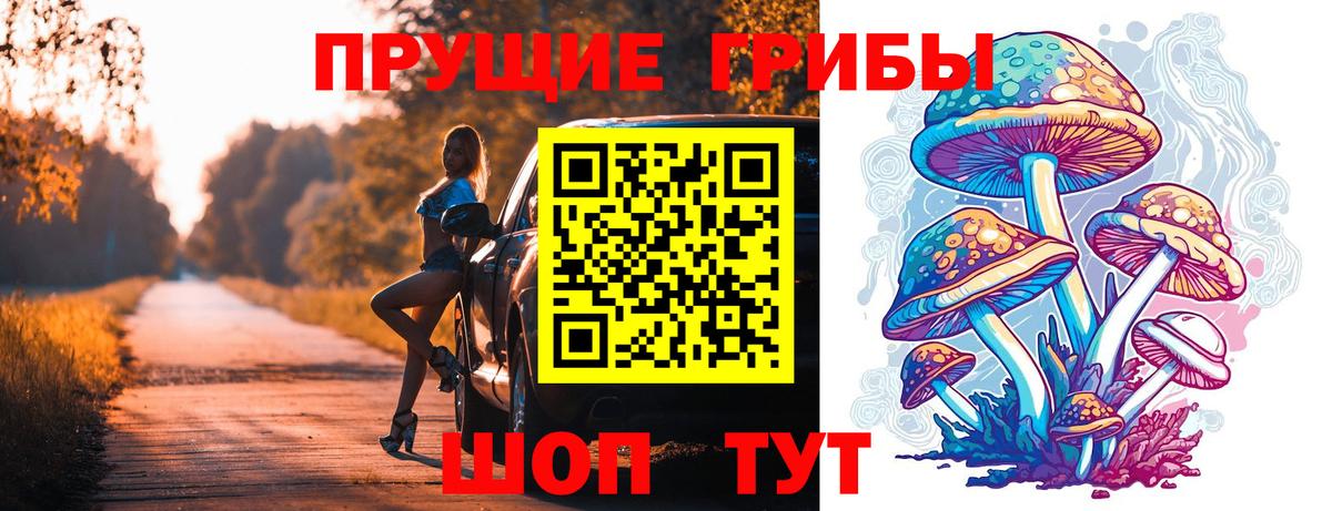 Галлюциногенные грибы Psilocybe Ессентуки
