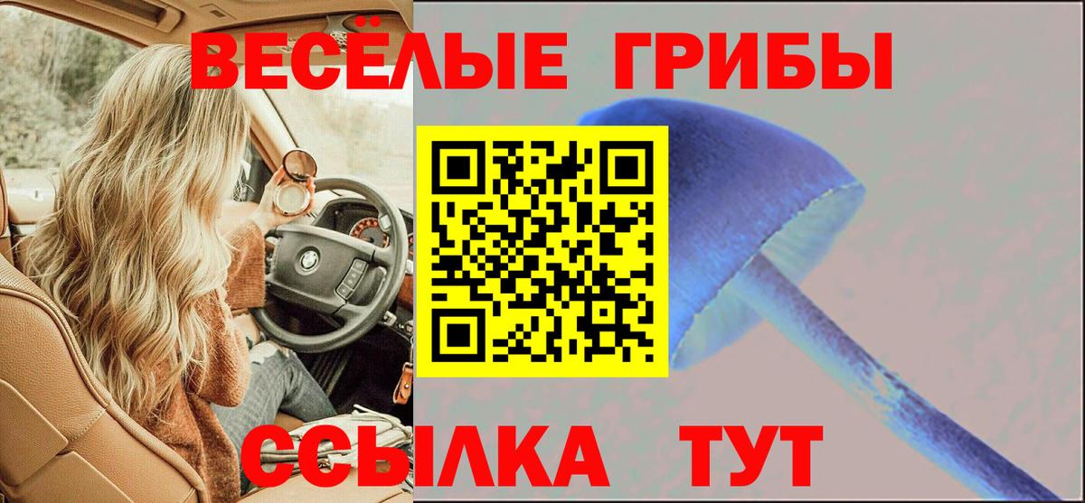 Псилоцибиновые грибы Cubensis  Вход с VPN  Ессентуки 